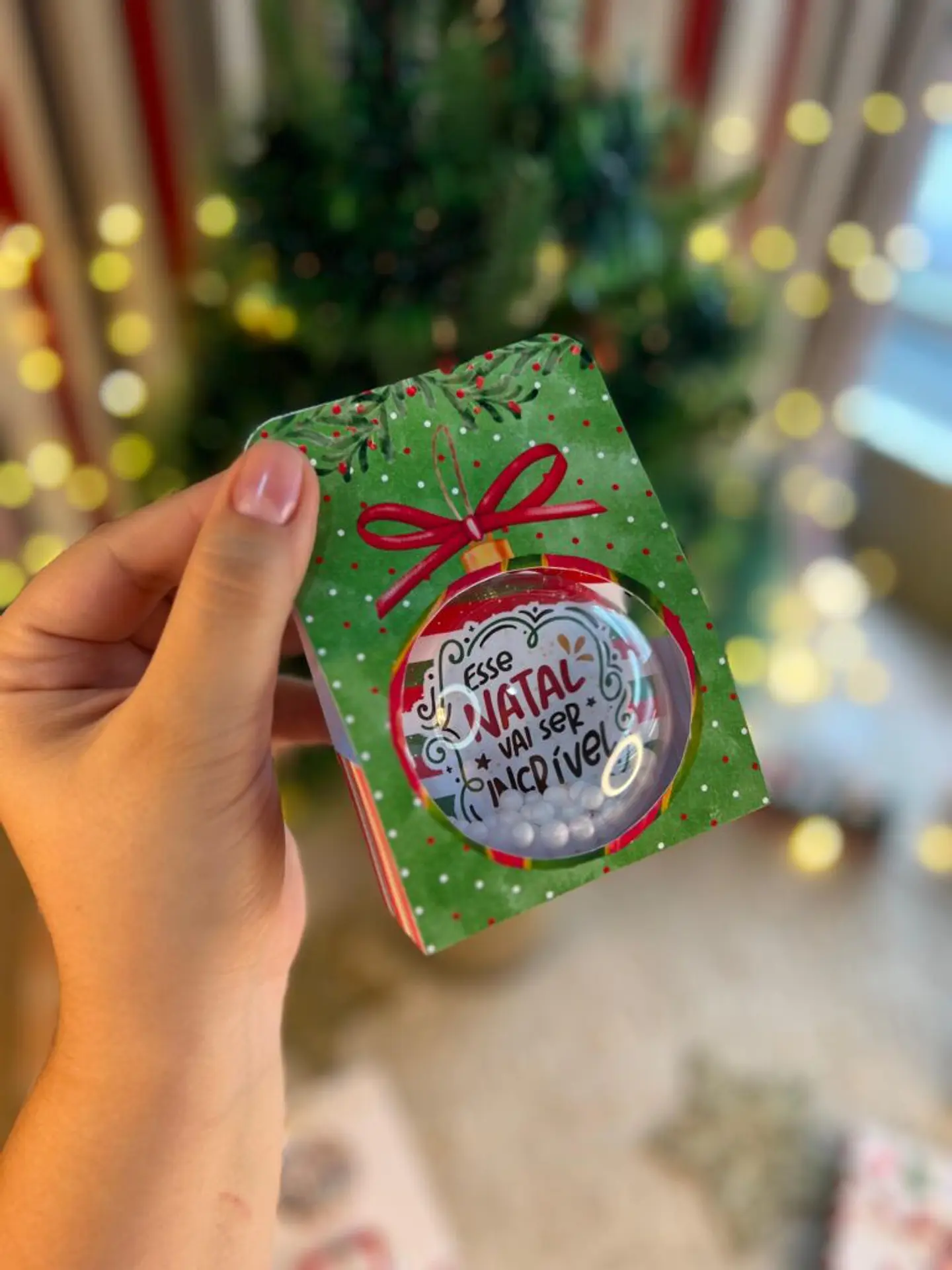 Kit Digital Natal Noel 2024 - Ana Flor 3