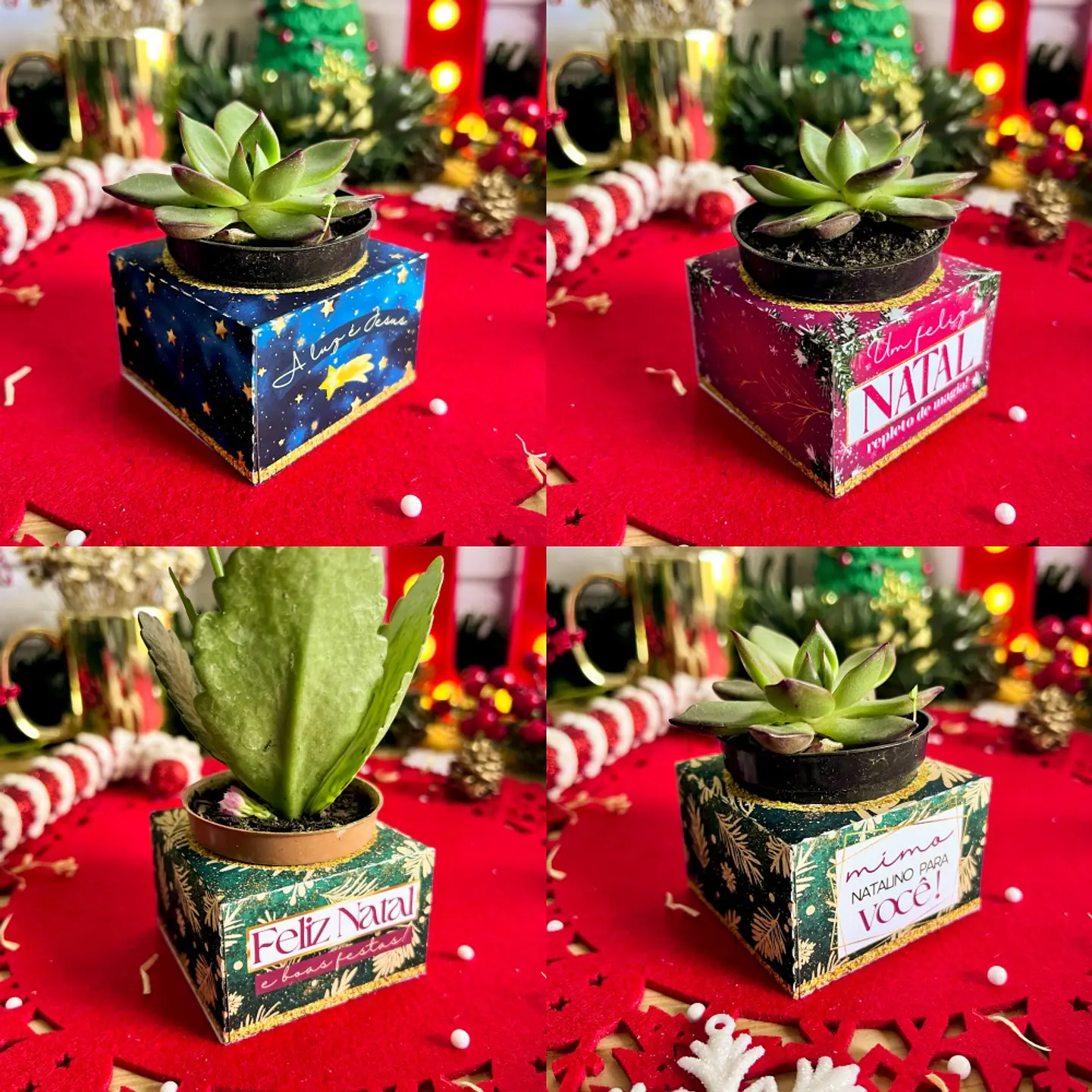 Arquivo Natal Coleção 2024 - Ilustracin 13