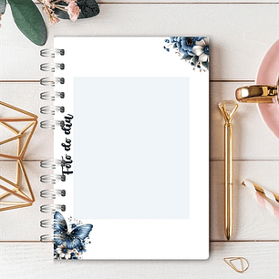 Arquivo Caderno Assembléia de Circuitos 2024-2025 e Pré Assembleia Borboletas Azul - Rê Castori