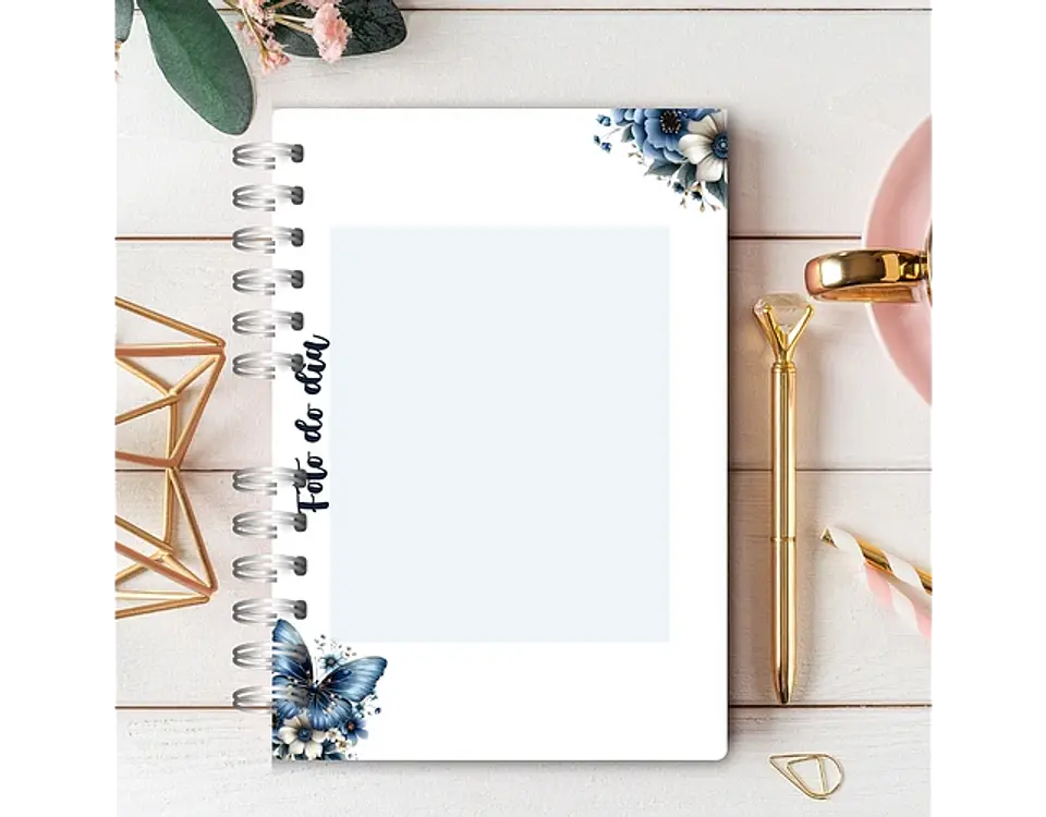 Arquivo Caderno Assembléia de Circuitos 2024-2025 e Pré Assembleia Borboletas Azul - Rê Castori 2