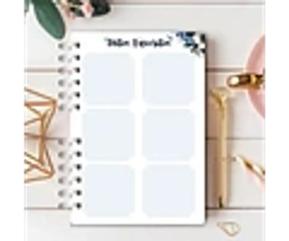 Arquivo Caderno Assembléia de Circuitos 2024-2025 e Pré Assembleia Borboletas Azul - Rê Castori 3