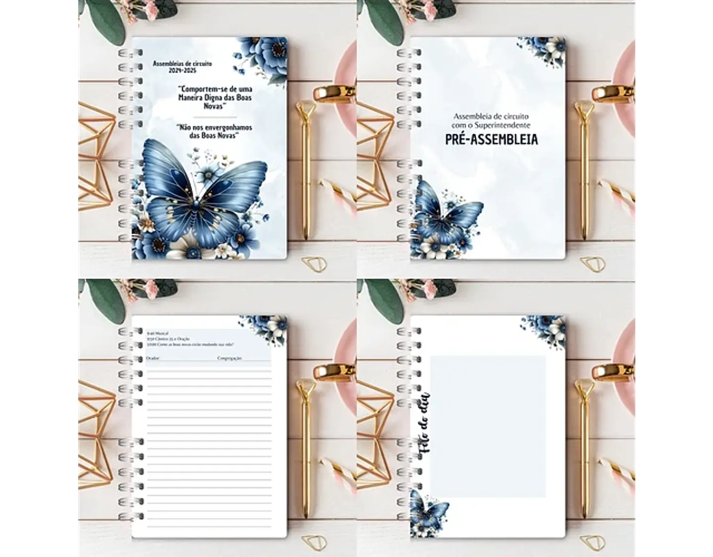 Arquivo Caderno Assembléia de Circuitos 2024-2025 e Pré Assembleia Borboletas Azul - Rê Castori 6