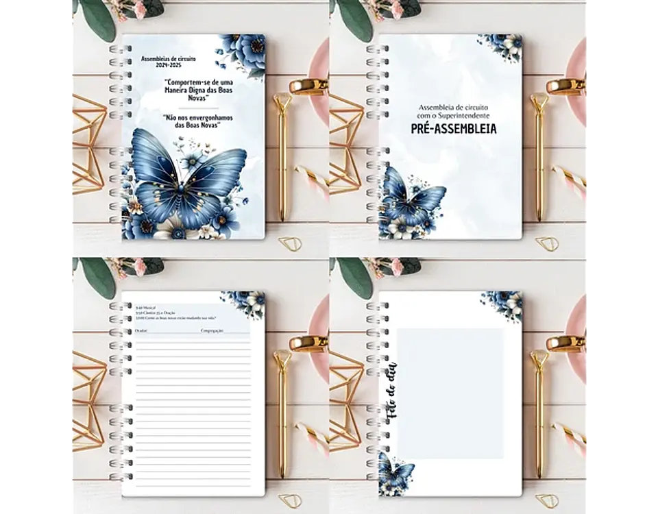 Arquivo Caderno Assembléia de Circuitos 2024-2025 e Pré Assembleia Borboletas Azul - Rê Castori 6