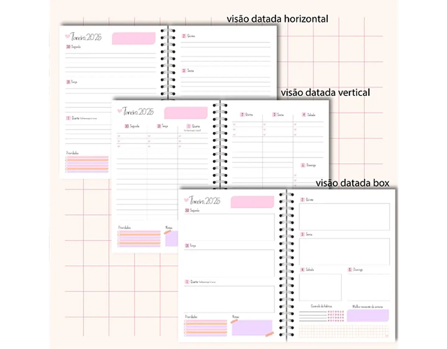 Arquivo Planners 2025 Coleção Meus Sonhos - BM ARQUIVOS 4