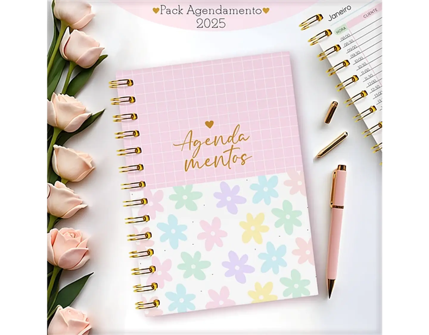 Arquivo Pack Agendamentos Feminino 2025 - Lina 6