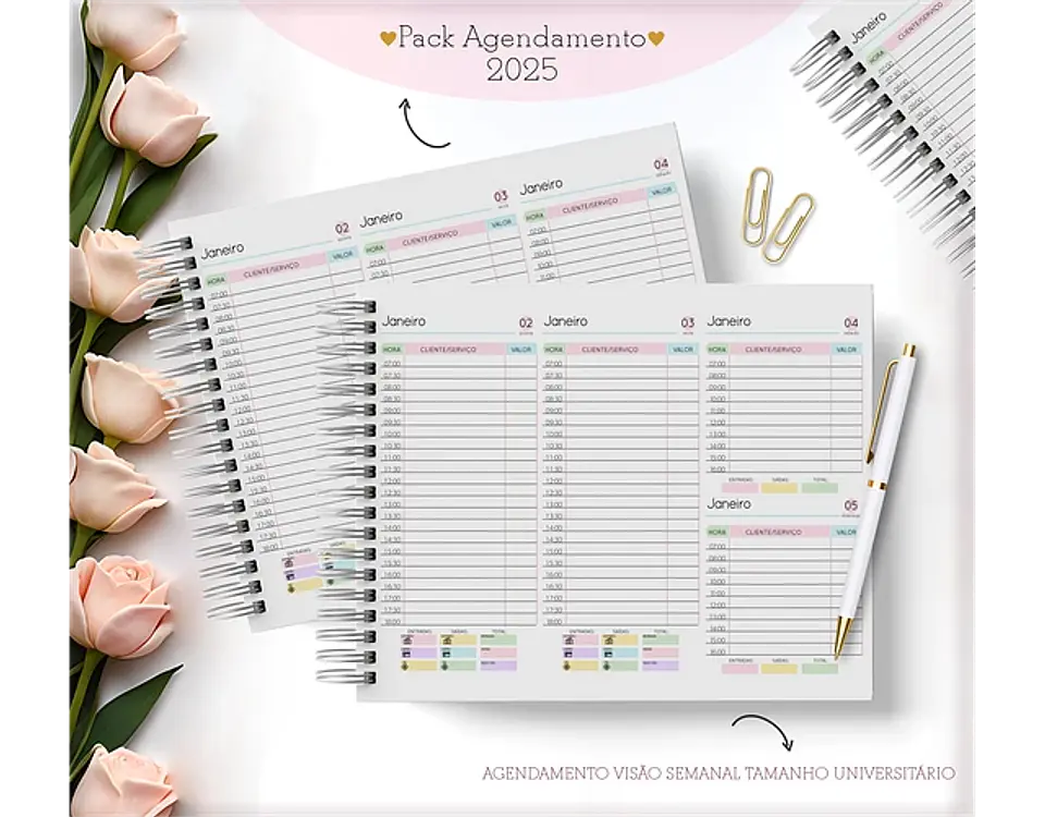 Arquivo Pack Agendamentos Feminino 2025 - Lina 10