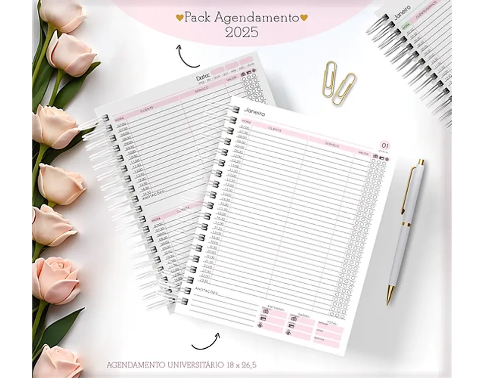Arquivo Pack Agendamentos Feminino 2025 - Lina 11