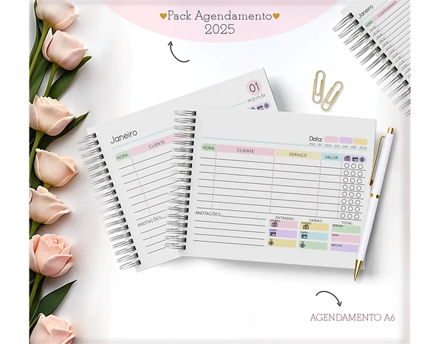 Arquivo Pack Agendamentos Feminino 2025 - Lina 12