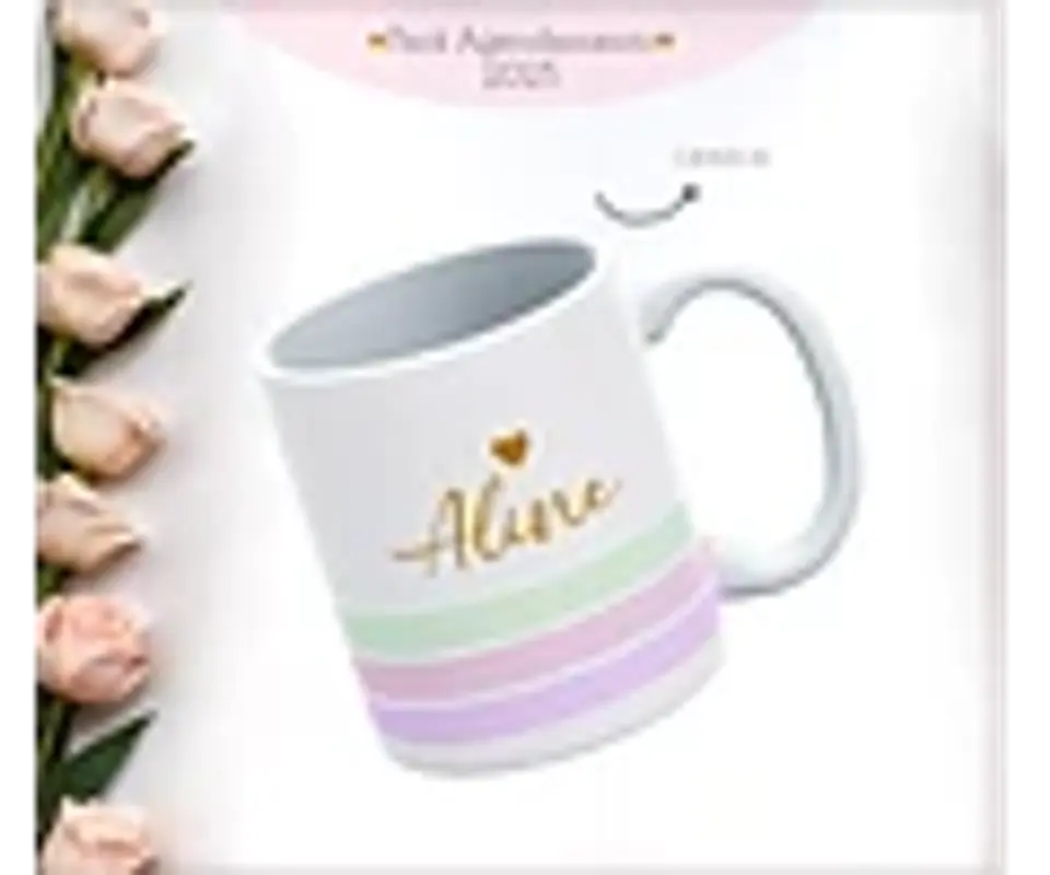 Arquivo Pack Agendamentos Feminino 2025 - Lina 14