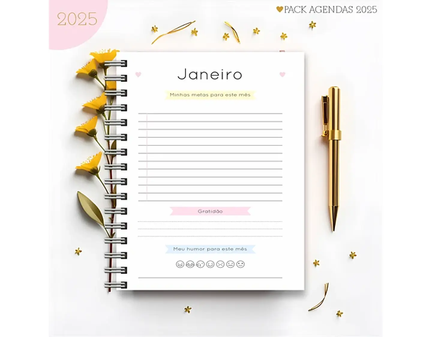 Arquivo Pack Agendas Feminina Candy 2025 - Lina 3