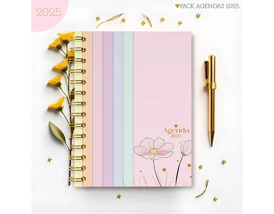 Arquivo Pack Agendas Feminina Candy 2025 - Lina 11