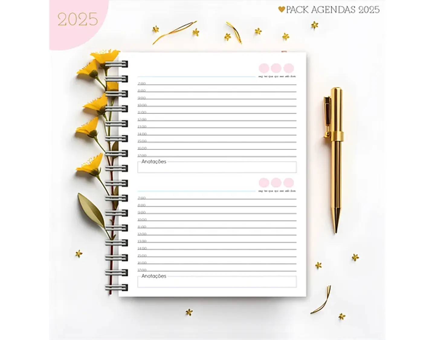 Arquivo Pack Agendas Feminina Candy 2025 - Lina 12