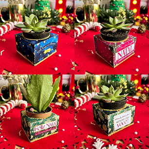 Arquivo Natal Caixa Porta Suculenta - Ilustracin