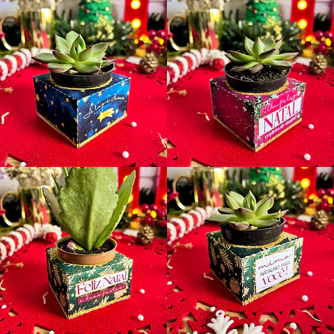 Arquivo Natal Caixa Porta Suculenta - Ilustracin