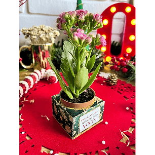 Arquivo Natal Caixa Porta Suculenta - Ilustracin