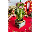 Arquivo Natal Caixa Porta Suculenta - Ilustracin - Thumbnail 2