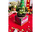 Arquivo Natal Caixa Porta Suculenta - Ilustracin - Thumbnail 3