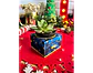 Arquivo Natal Caixa Porta Suculenta - Ilustracin - Thumbnail 4