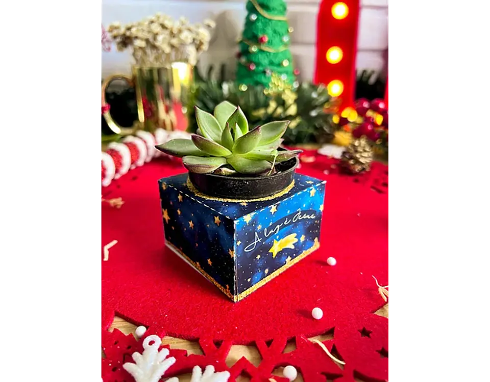 Arquivo Natal Caixa Porta Suculenta - Ilustracin 4