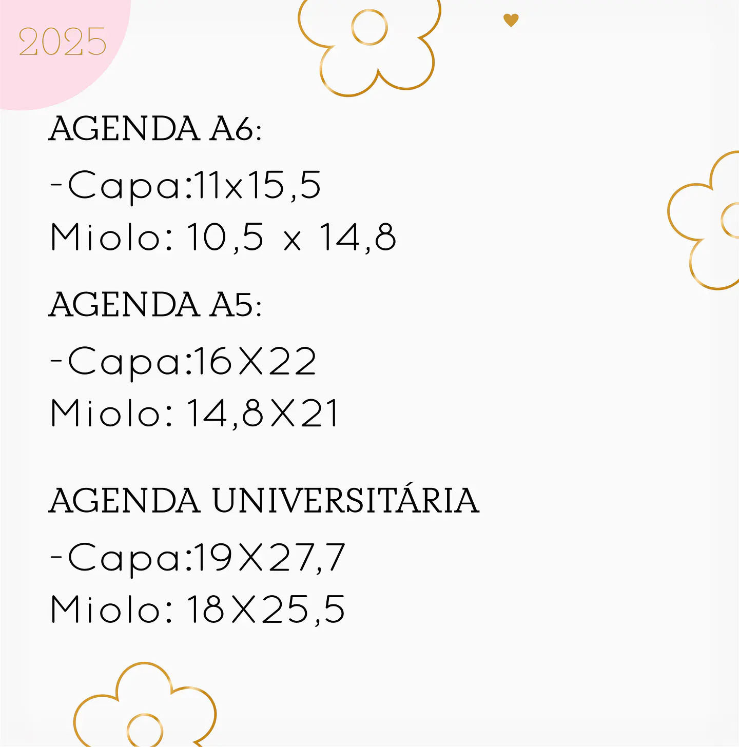 Arquivo Agendas Masculinas Combo 2025 - Lina 3