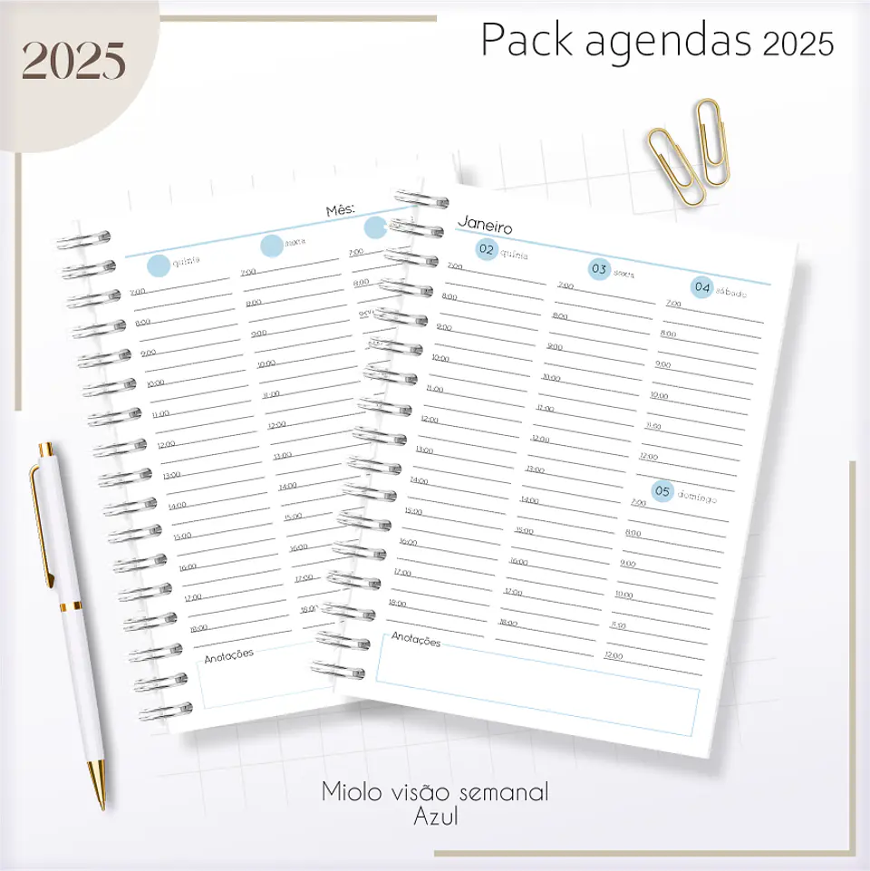 Arquivo Agendas Masculinas Combo 2025 - Lina 8