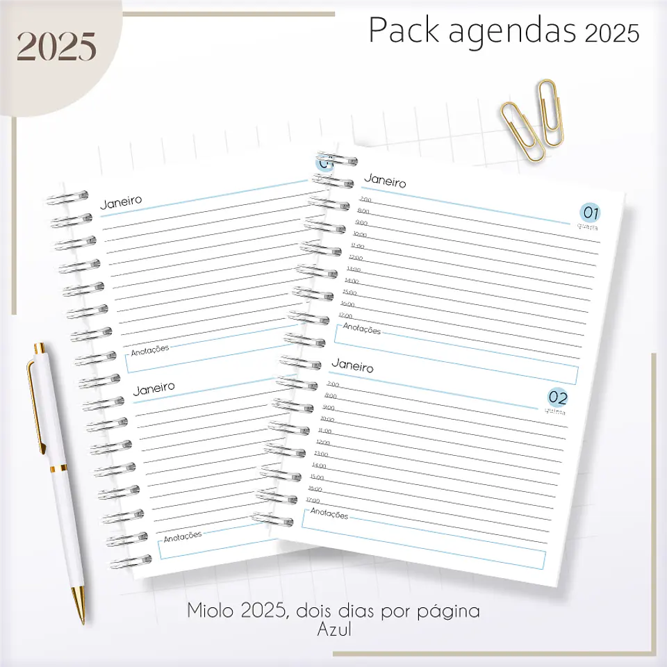Arquivo Agendas Masculinas Combo 2025 - Lina 30