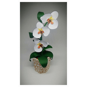 Arquivo de Corte Caixa Flor Orquidea Branca