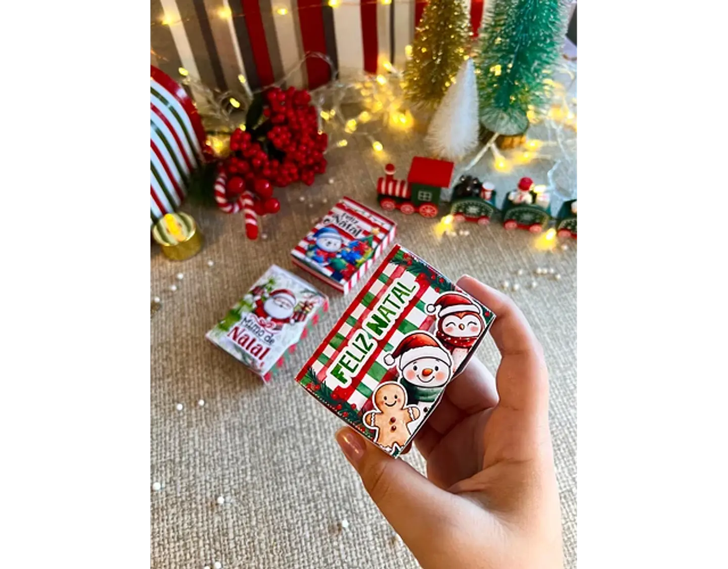 Arquivo Natal Caixa 4 Bis - Ana Flor 3