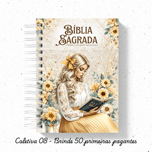Arquivo Coleção Capas Bíblias 08 - Bruna Dias