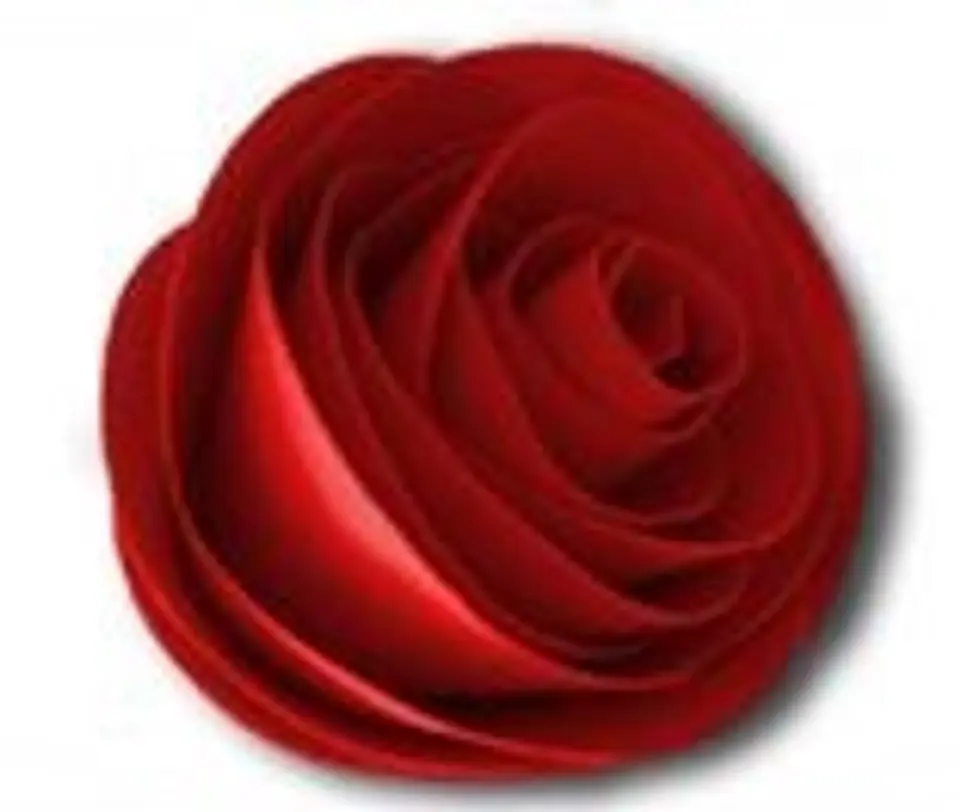 Arquivo de Corte Flor Rosa 1