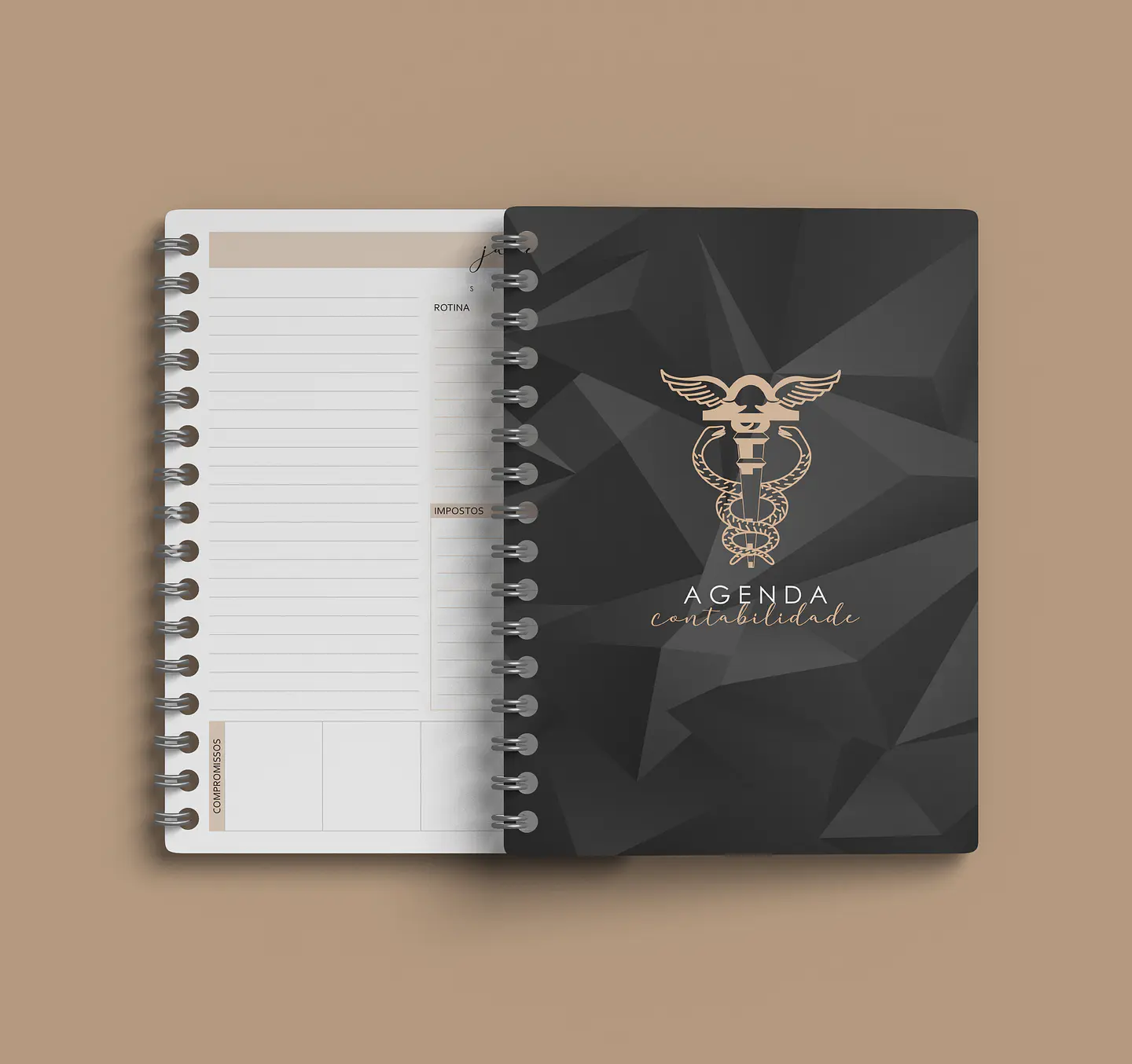 Arquivo Agenda Permanente Contabilidade - Bicho Papel 1