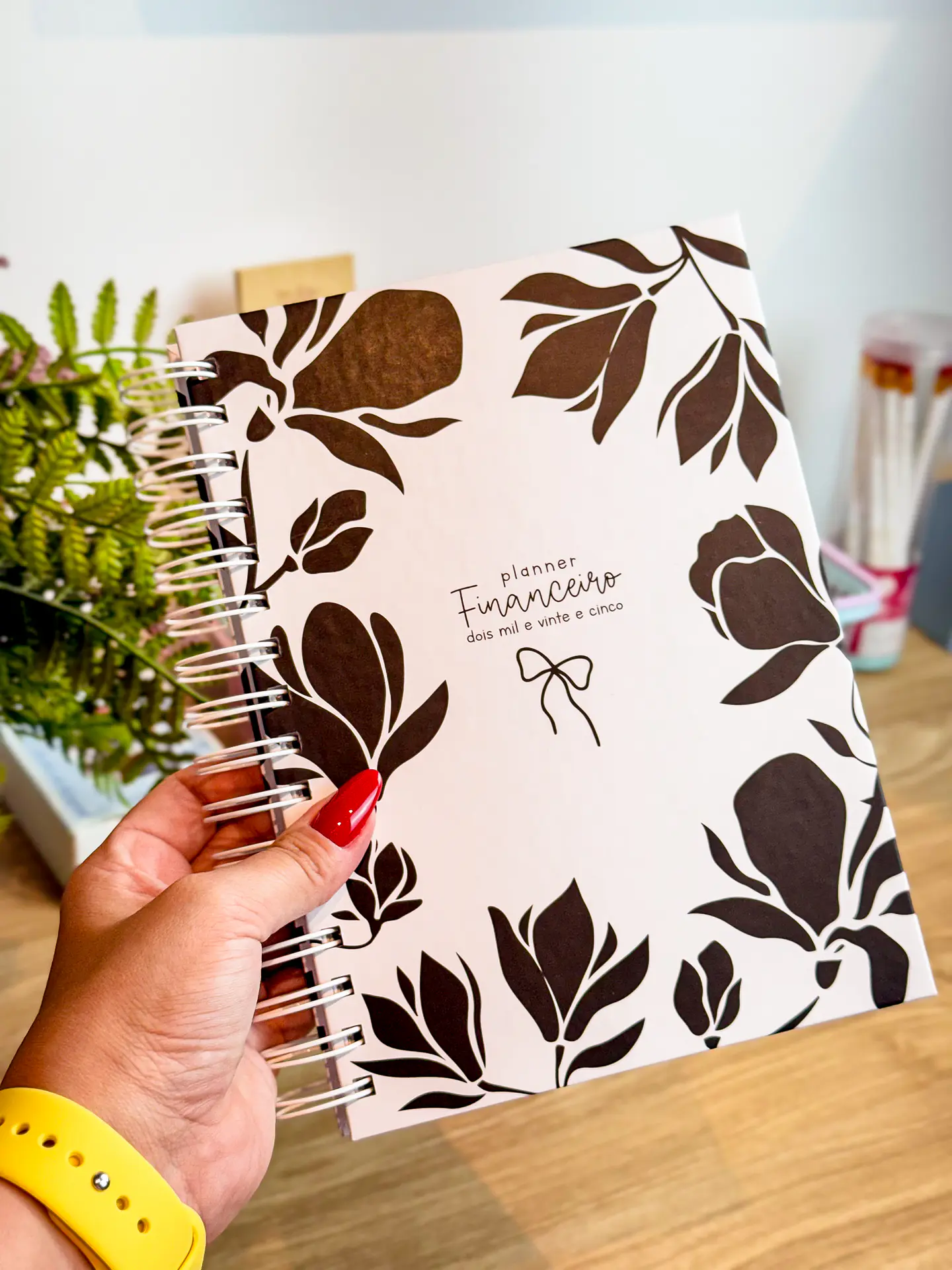 Arquivo Planner Financeiro 2025 - Estudio G19 2