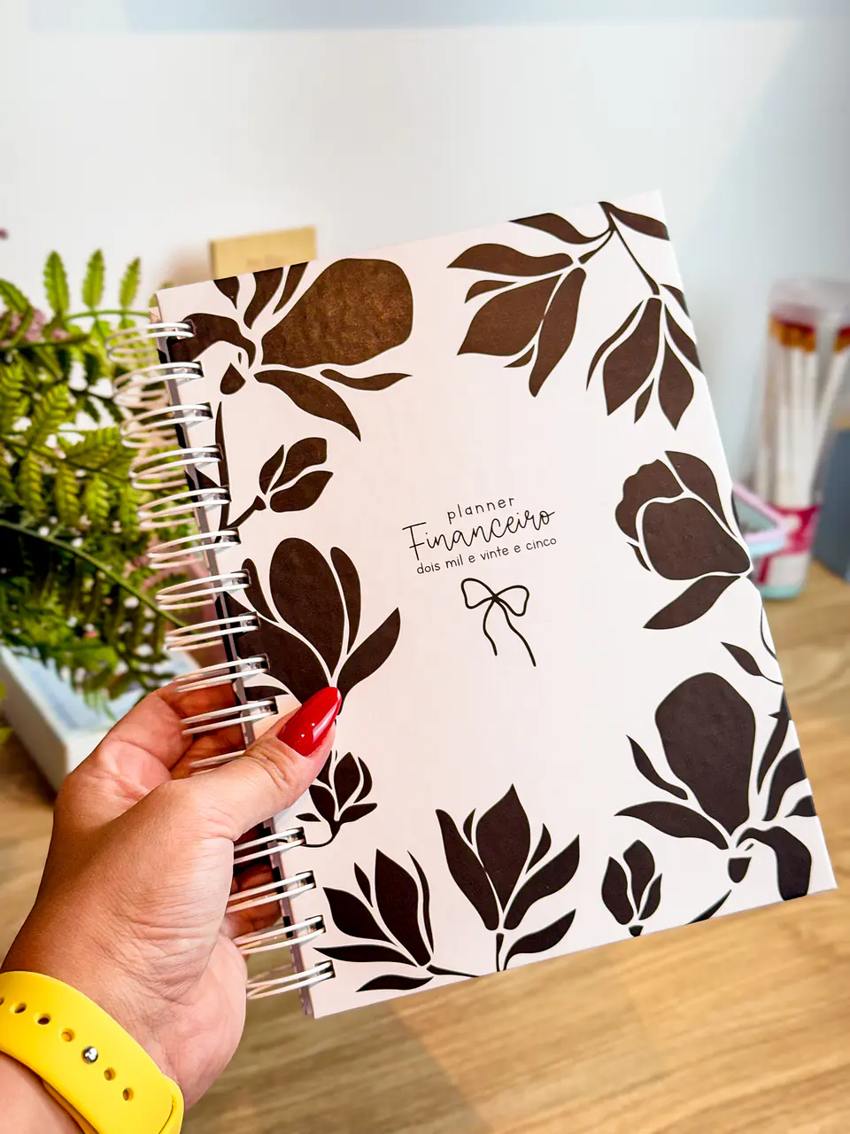 Arquivo Planner Financeiro 2025 - Estudio G19 2