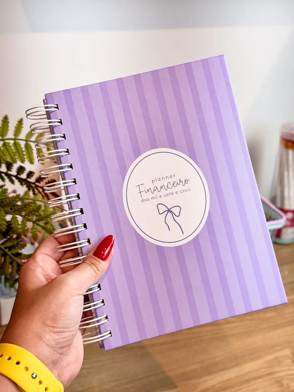 Arquivo Planner Financeiro 2025 - Estudio G19 3