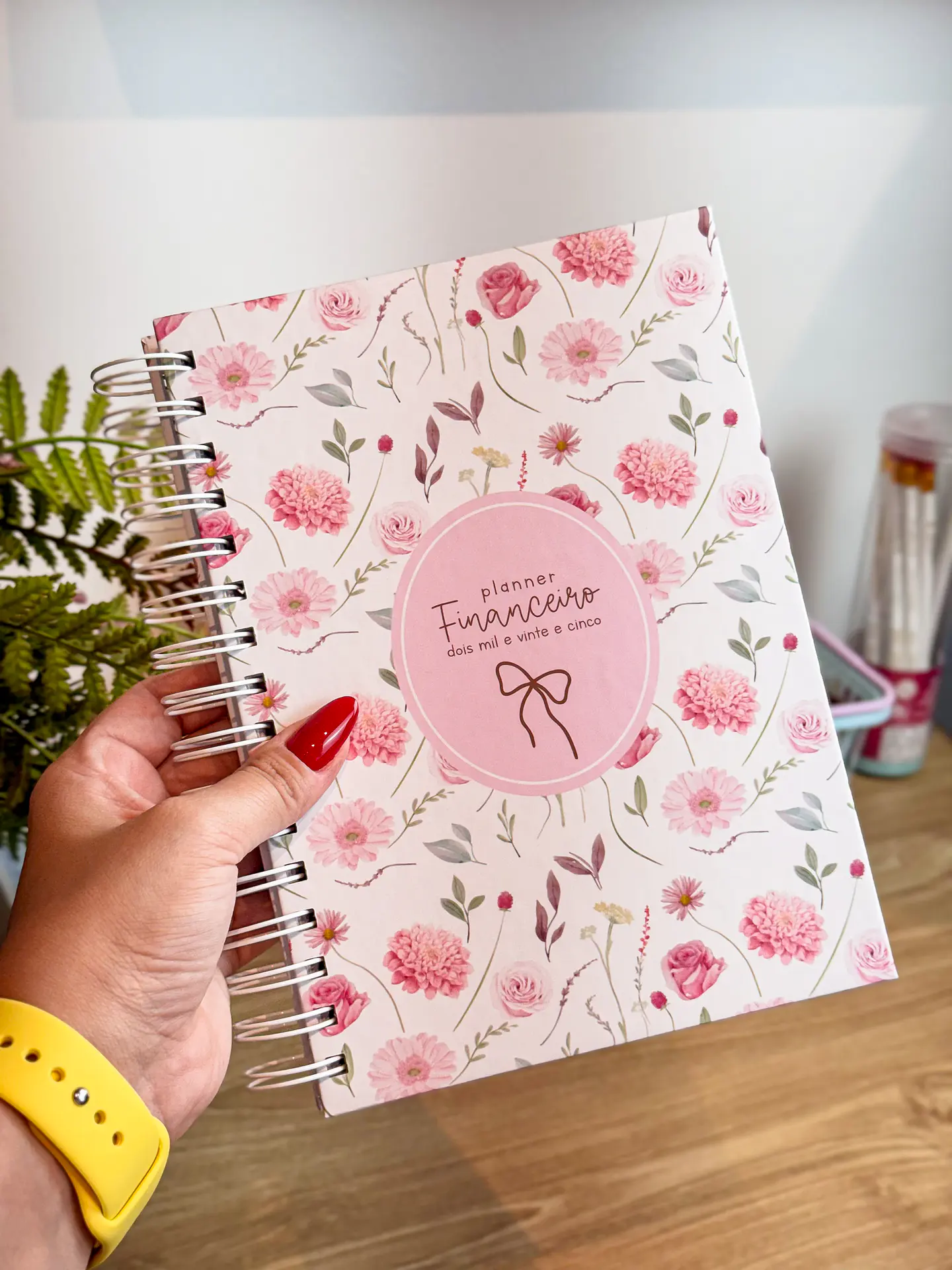 Arquivo Planner Financeiro 2025 - Estudio G19 4