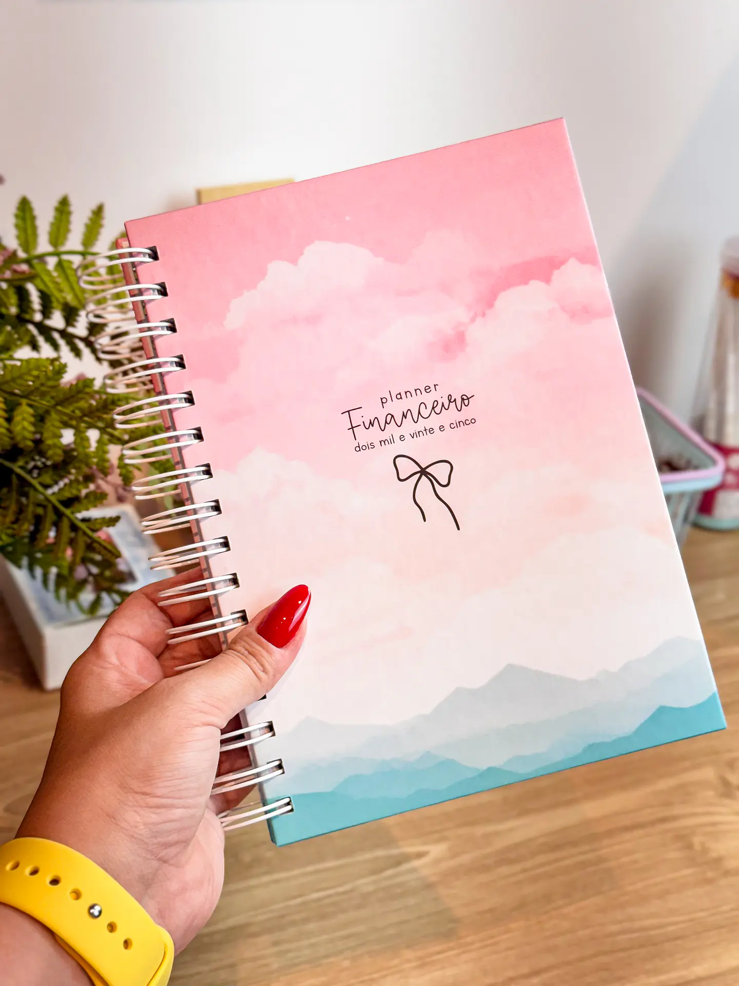 Arquivo Planner Financeiro 2025 - Estudio G19 5