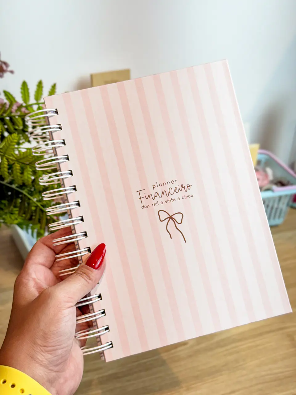 Arquivo Planner Financeiro 2025 - Estudio G19 6