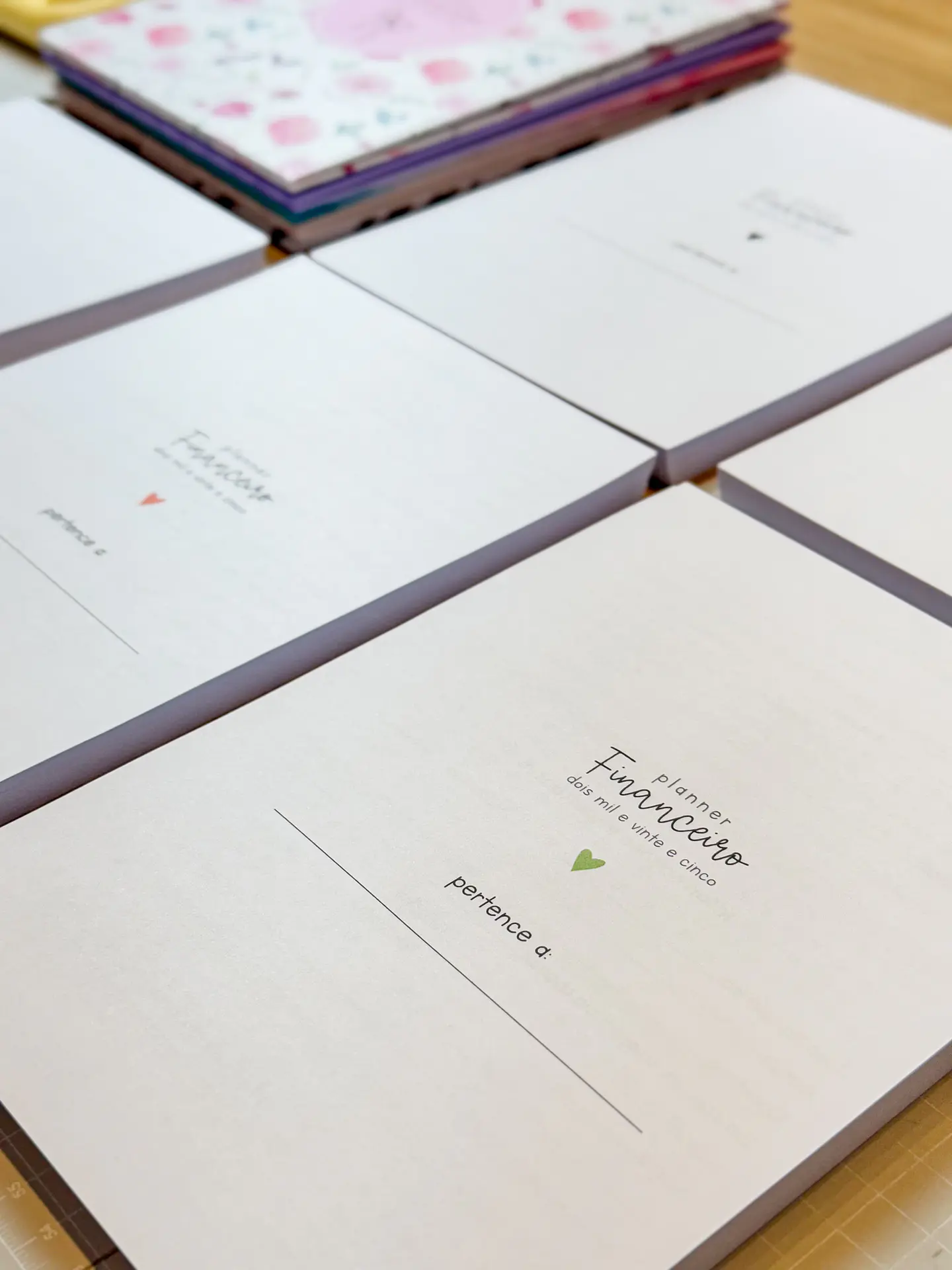 Arquivo Planner Financeiro 2025 - Estudio G19 7