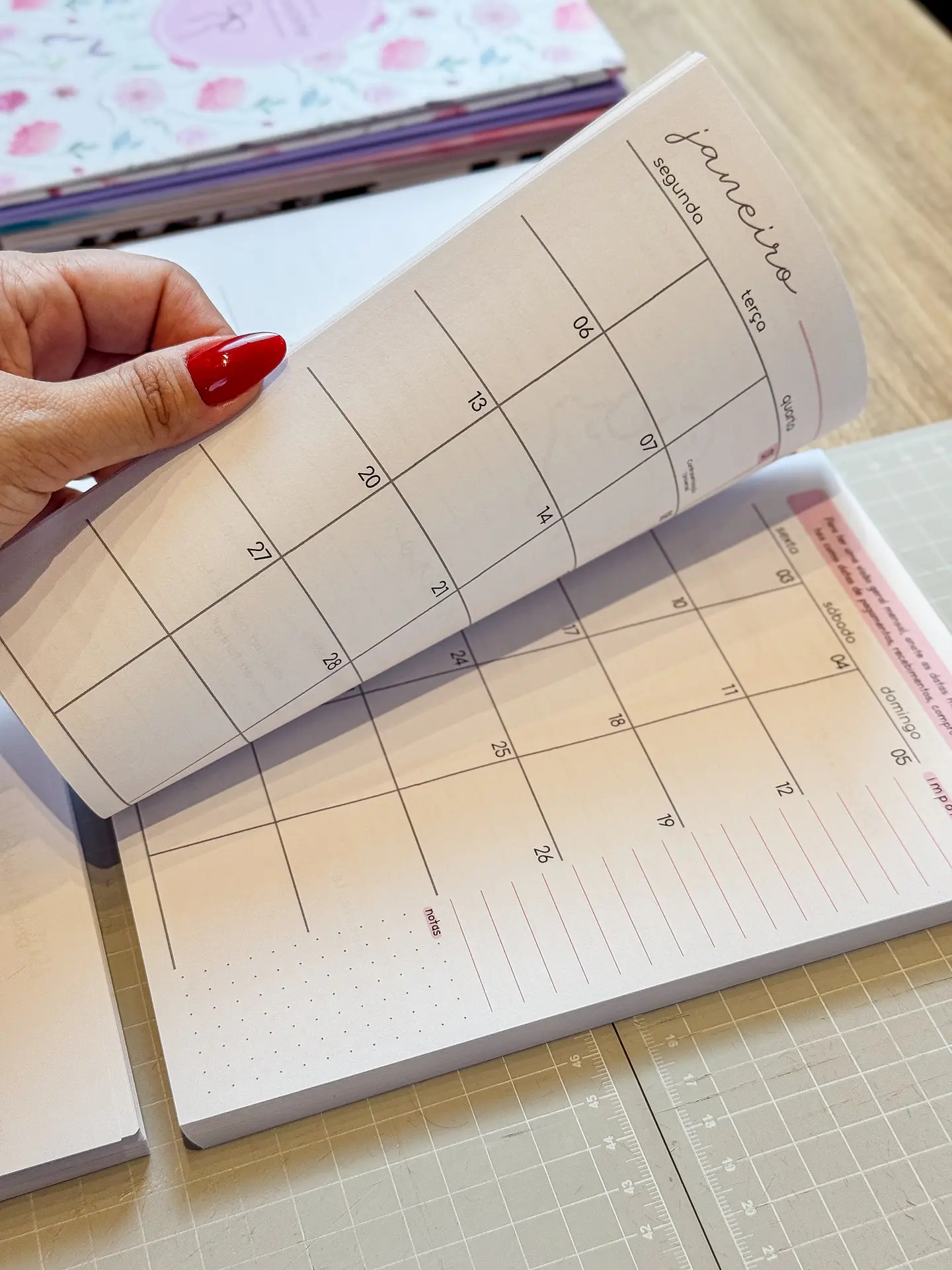 Arquivo Planner Financeiro 2025 - Estudio G19 8