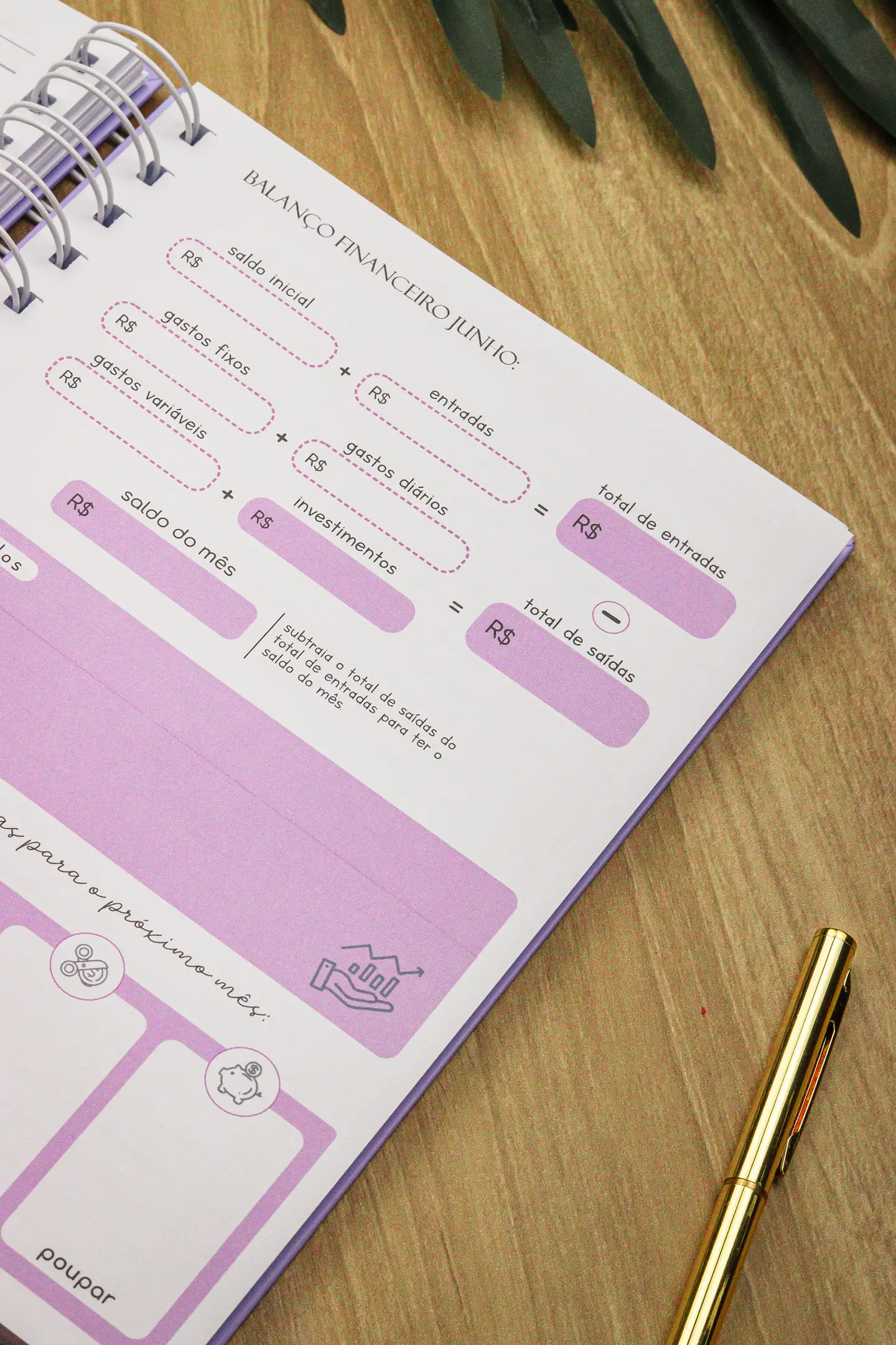 Arquivo Planner Financeiro 2025 - Estudio G19 12