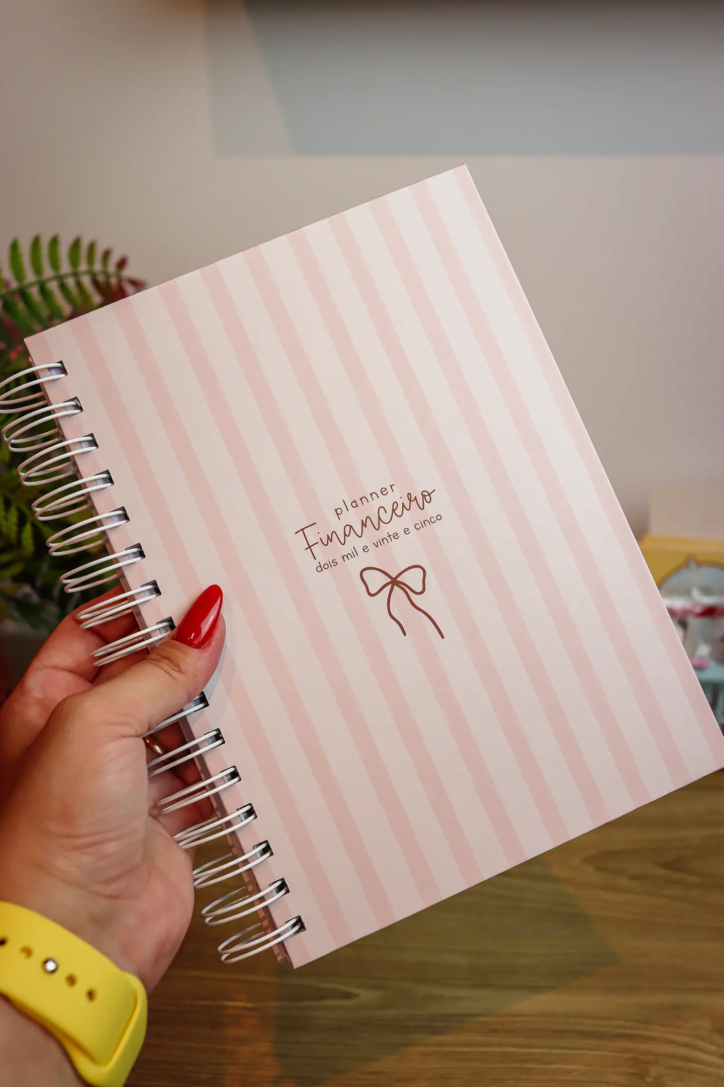 Arquivo Planner Financeiro 2025 - Estudio G19 17