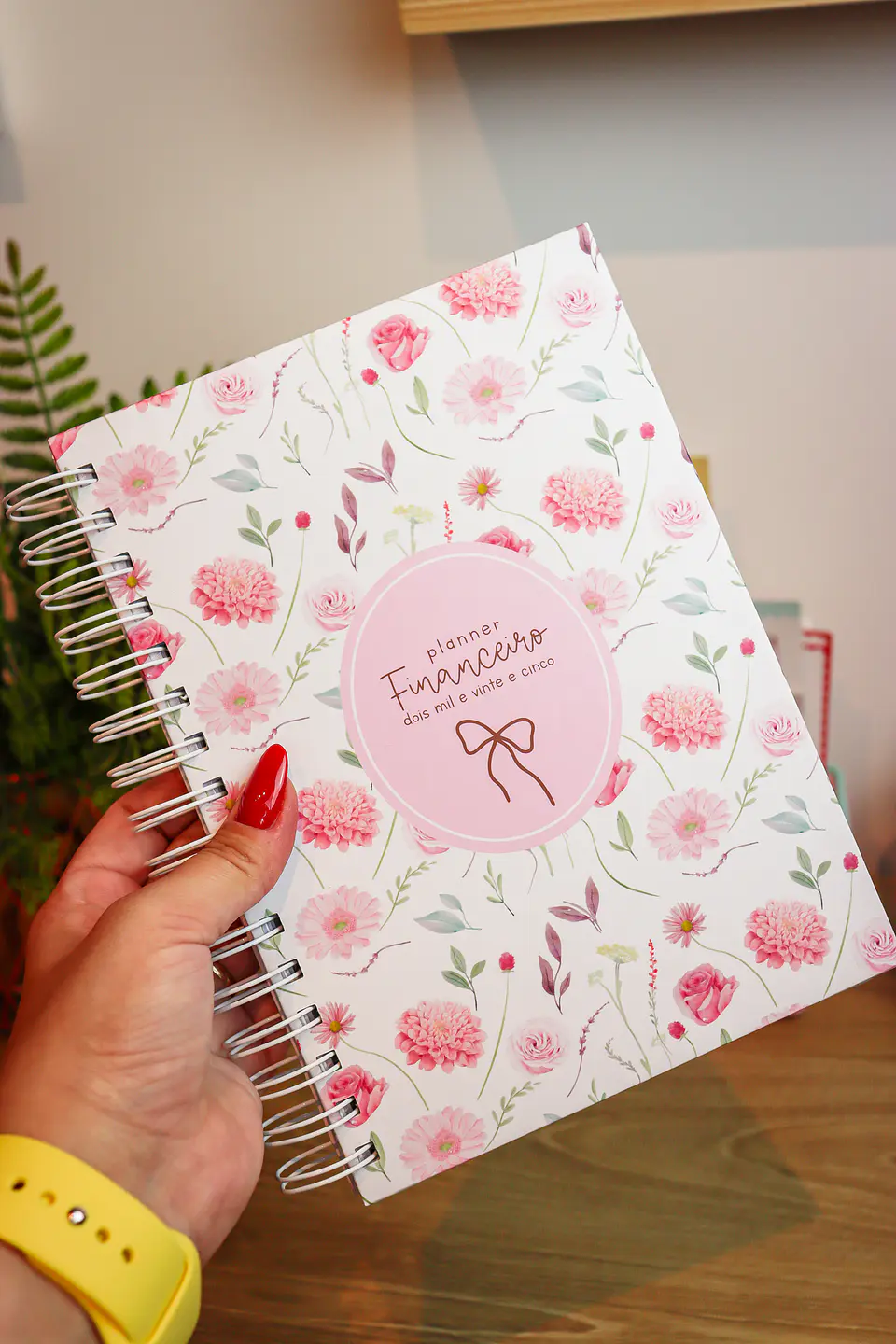 Arquivo Planner Financeiro 2025 - Estudio G19 18