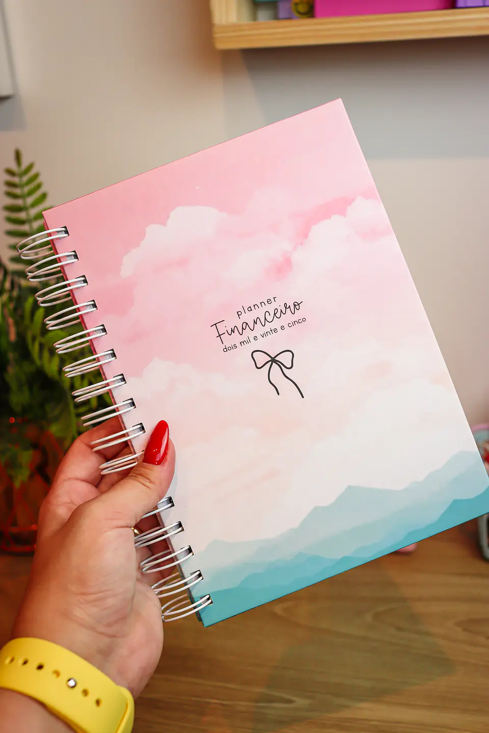 Arquivo Planner Financeiro 2025 - Estudio G19 19