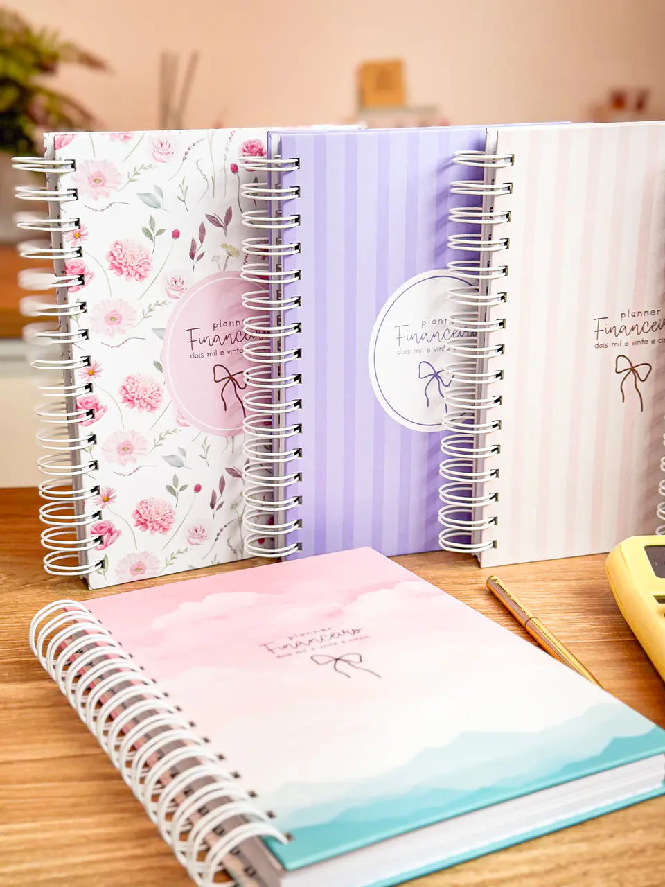Arquivo Planner Financeiro 2025 - Estudio G19 20