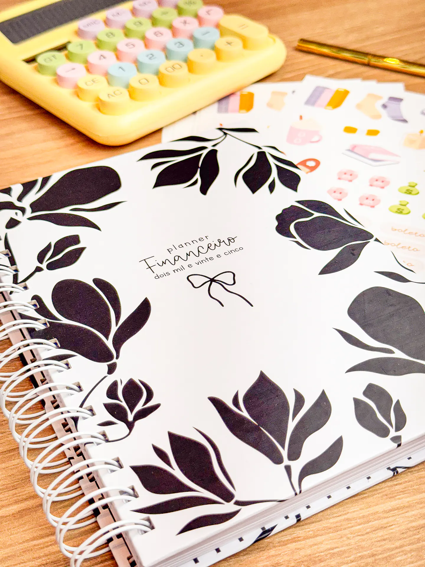 Arquivo Planner Financeiro 2025 - Estudio G19 21