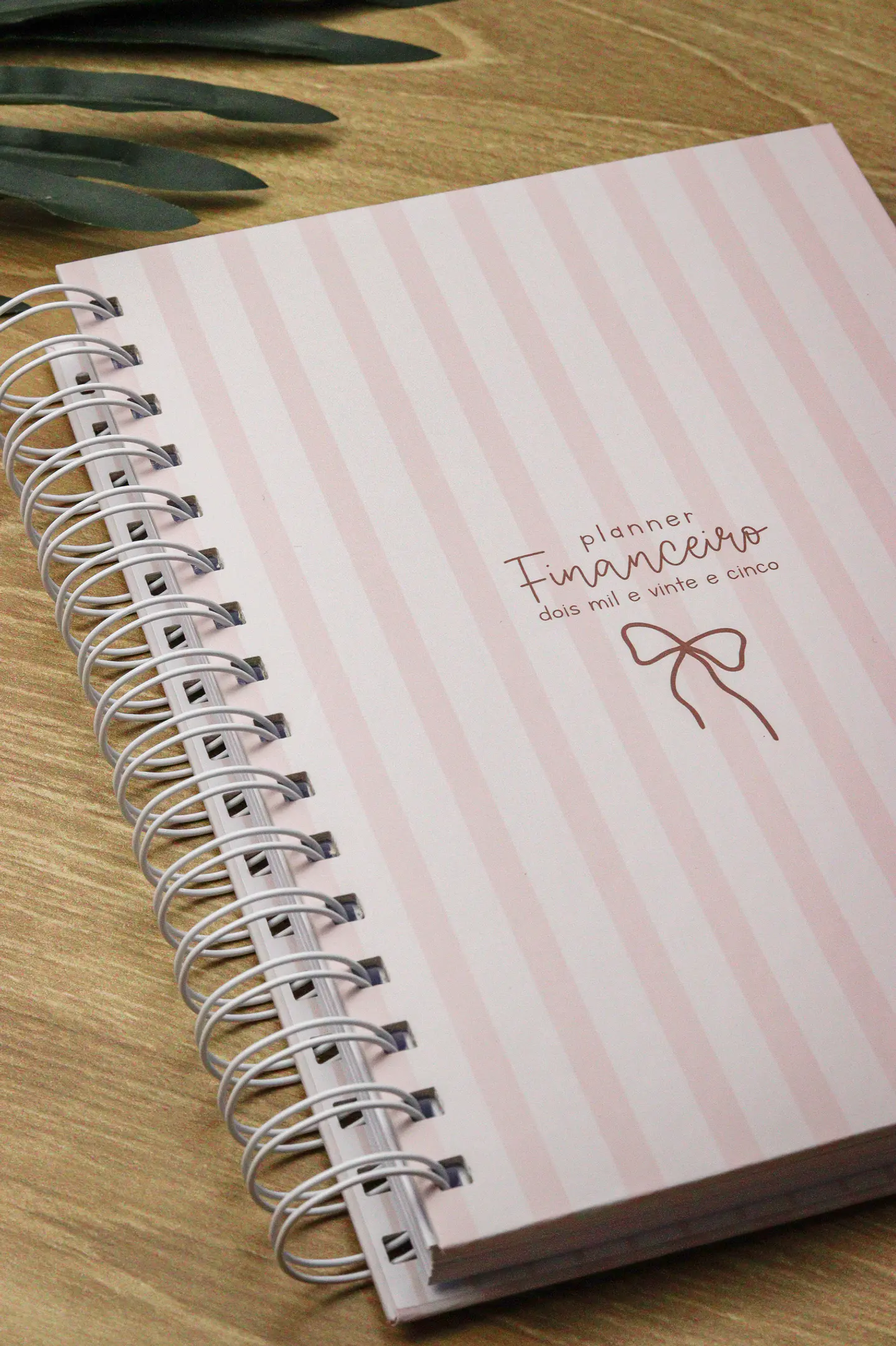 Arquivo Planner Financeiro 2025 - Estudio G19 24