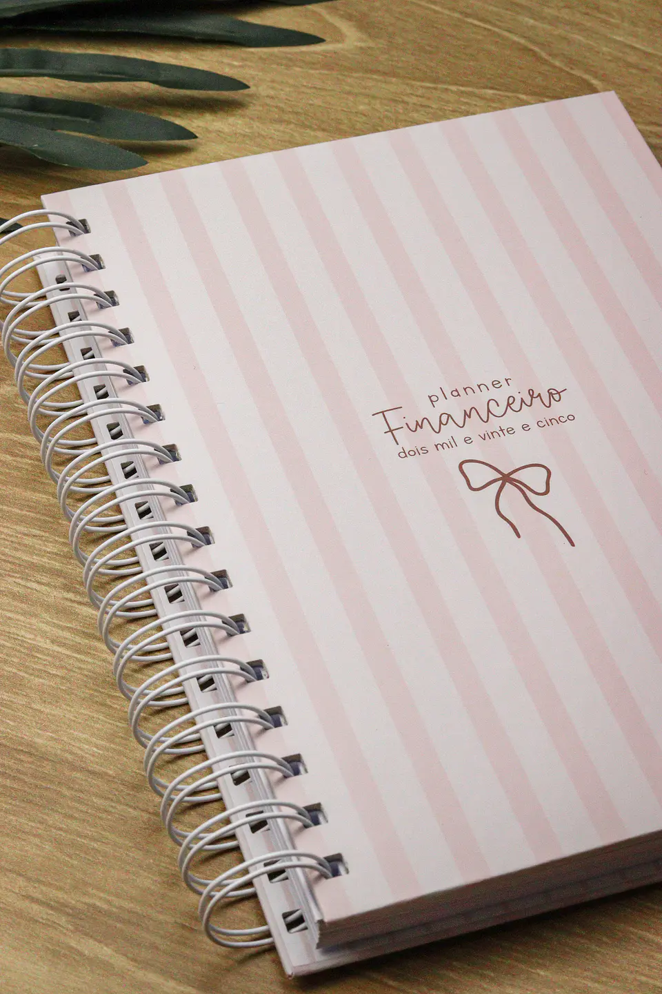 Arquivo Planner Financeiro 2025 - Estudio G19 24