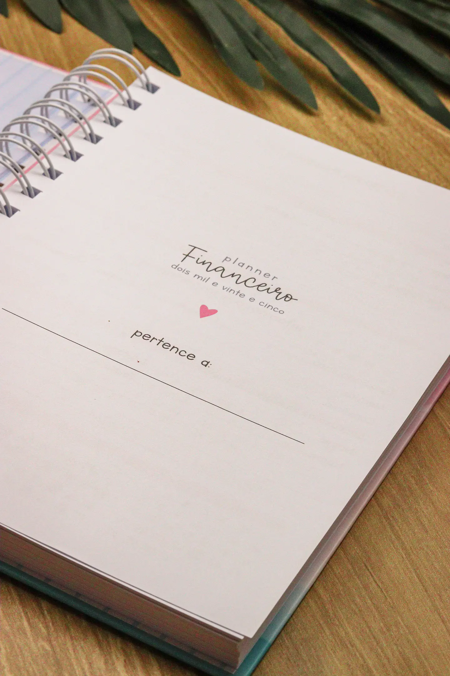 Arquivo Planner Financeiro 2025 - Estudio G19 25