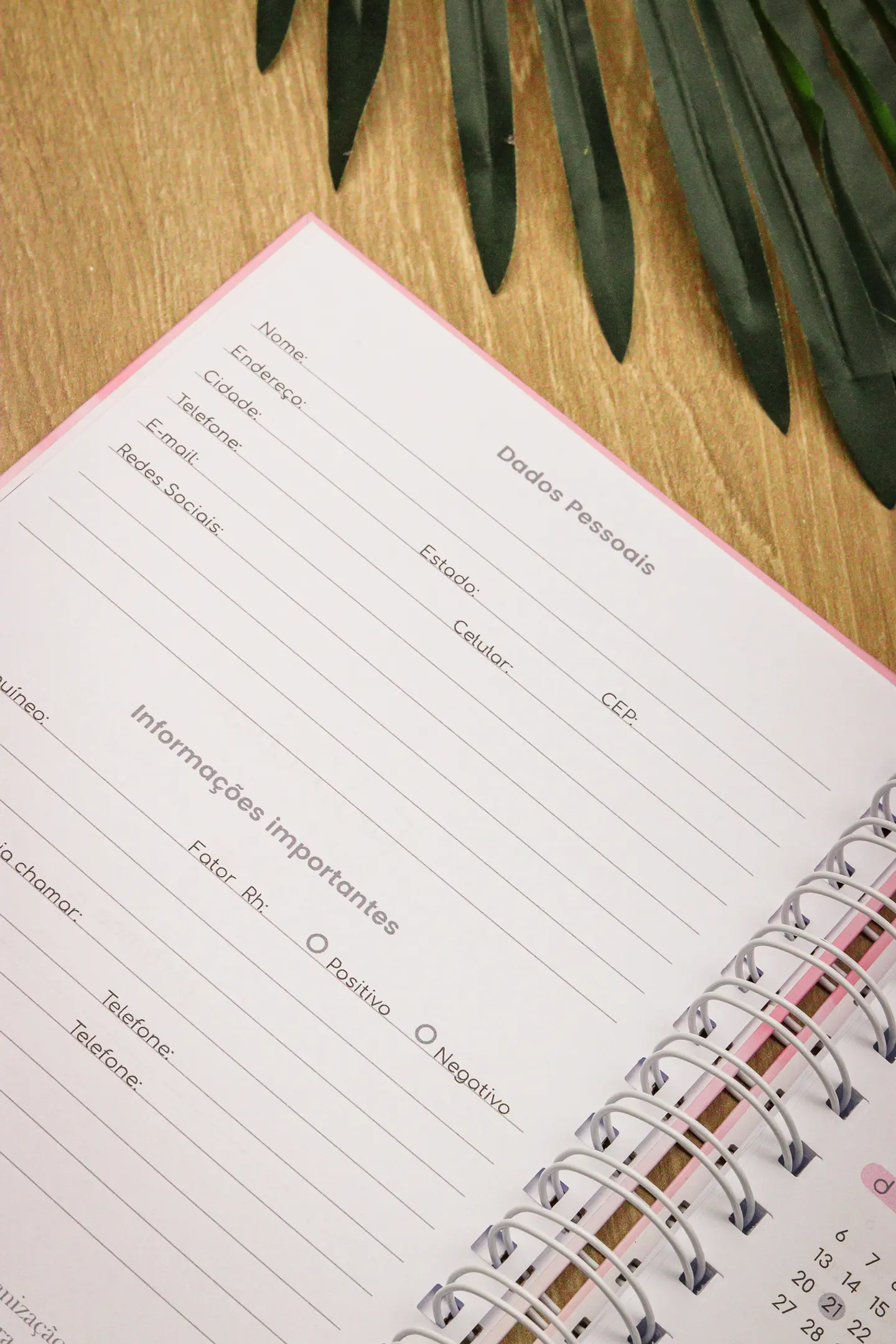 Arquivo Planner Financeiro 2025 - Estudio G19 26