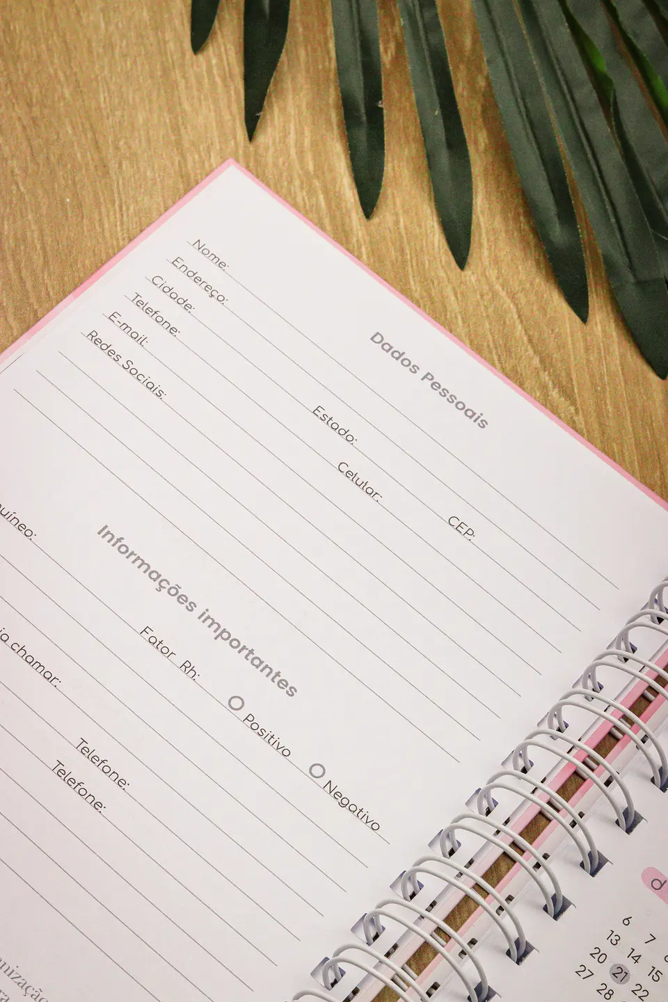 Arquivo Planner Financeiro 2025 - Estudio G19 26